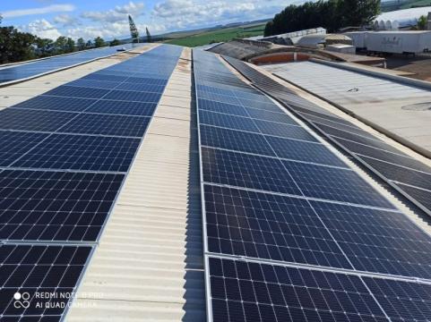 Joannes Adrianus Steltenpool - Proj. 2