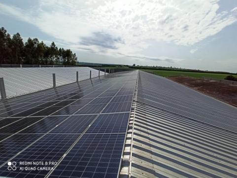 Neo Biomedia Avicola SA