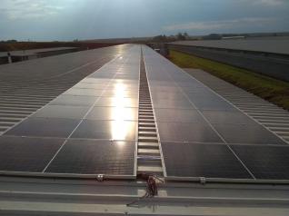 Adelar Jose Holsbach