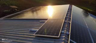 Djanne Brendler Englert