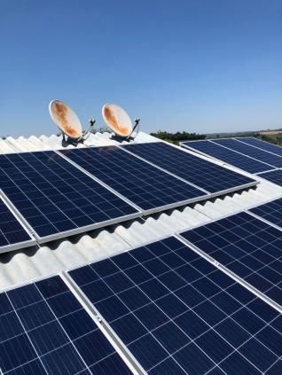 Luciane Maria Pandolfo