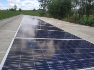 Paulo Sérgio Camini