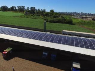 Frutana Alimentos Ltda