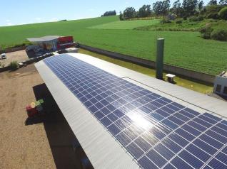 Frutana Alimentos Ltda