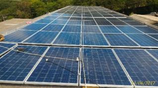 L Mocci Comércio de Frutas Ltda