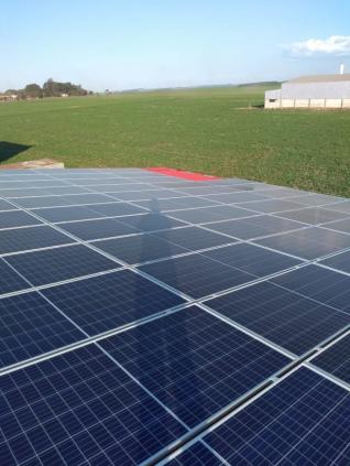 Rodomag Pneus e Recapagens