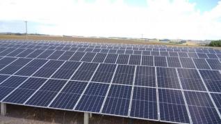 Panificadora Guerini LTDA