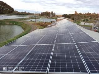 Marcelo Marquardt (Proj. 2)