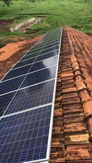 Dircelei G. B. Steinheuser