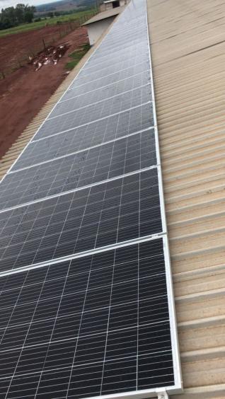 José Aparecido Terribelle